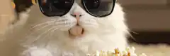 cool cat eating popcorn