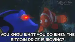 Dory laser eyes just keep stacking