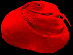 Pepe the Frog color changing