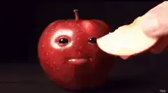 Apple eating apple slice