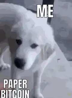 Me Paper Bitcoin Dog