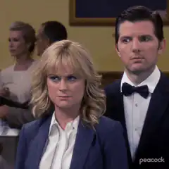 Leslie Knope and Ben Wyatt serious faces