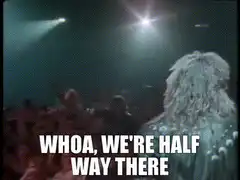 Guns N' Roses concert crowd cheering