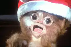 Monkey Santa reacts to magic