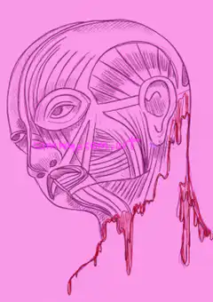 bleeding anatomical head illustration