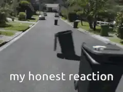 trash cans flying down the street