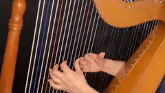 hands playing harp strings