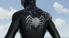 Black Spider-Man back view