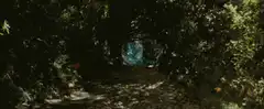 Mysterious forest path with blue portal