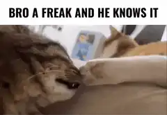 Cat gets paw shoved in mouth