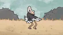 Ostrich dancing in a field