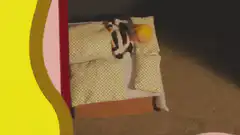 Stop motion doll falls into green void