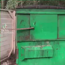 Raccoon stuck in dumpster window