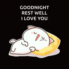 Goodnight rest well I love you sleeping cat