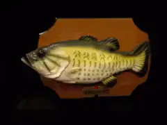 mouth opening bass fish