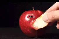Apple eating itself