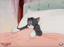 Tom waking up and stretching in bed