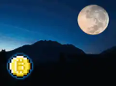 Bitcoin coin flies to the moon
