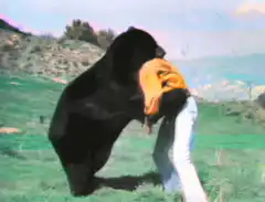 Bear hugging and wrestling a man