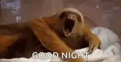 Sloth yawning good night