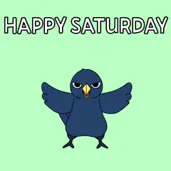 Happy Saturday pigeon dancing