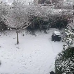 Snowy backyard with covered grill