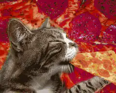 cat eating pizza slice