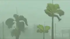 Palm trees and awning blowing in hurricane