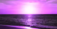 purple sunset over ocean