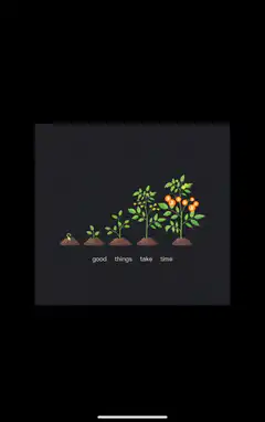 Plant growth stages illustration