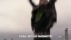 Yeah, Bitch! Magnets!