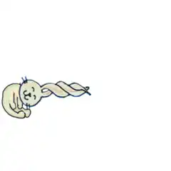 Twisted bunny rolling