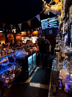 bartender behind bar with moose head