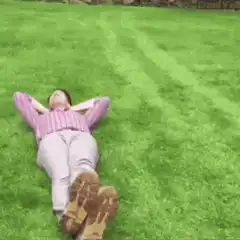 Man gets run over by toy car