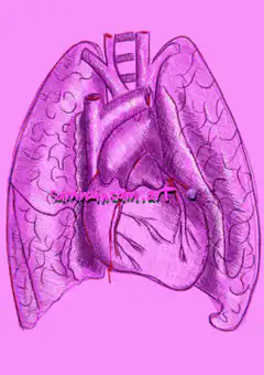 glitching heart and lungs illustration