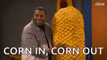 Corn in, corn out