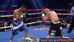 Boxer punches opponent in the face