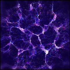 Fluorescent cells under microscope
