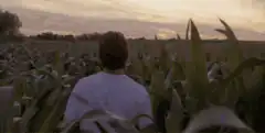 If you build it they will come