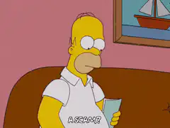Homer Simpson A Scam