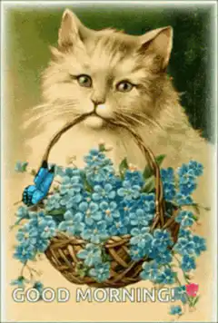 Cat with basket of flowers good morning