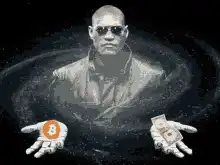 Morpheus Bitcoin vs Cash