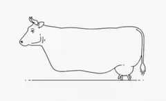 line drawing cow standing still
