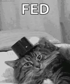 Fed Cat Top Hat