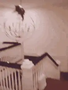 cat falls from chandelier