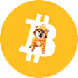 Shiba Inu Bitcoin Dog