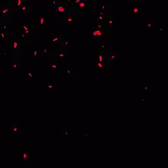 red blood splatter on black background
