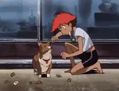 Corgi says nope and walks away