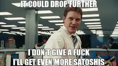 It Could Drop Further I'll Get Even More Satoshis