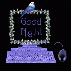 Good Night computer with bird